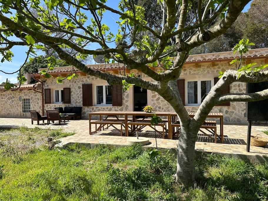 Finca Roberto Vila Can Picafort  Exterior foto